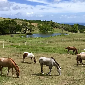Hébergement de vacances La Ferme Des Etangs, Riviere-Salee